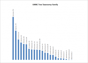 Tree Diversity by Family