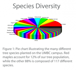 Visualizing Species Diversity