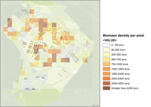 Campus Biomass